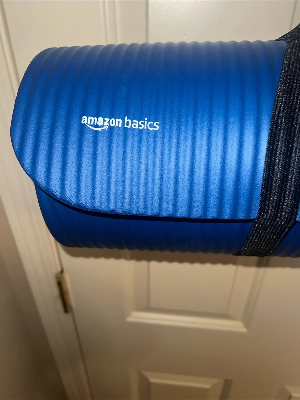 Amazon Basics durable blue